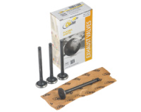 Клапан ГРМ Daewoo Sens 1.3,1.4, ЗАЗ 1102-03 выпуск ( 4  шт.) (азотированный)