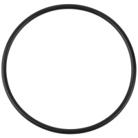 Гумова прокладка під кришку Emaux SB (02011085/02010248)