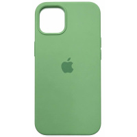 DM Чохол Silicone Case для iPhone 13 Cactus