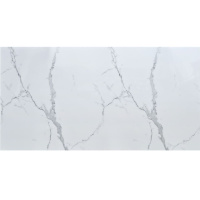 Самоклеюча стінова PET плитка 600х300х2мм SW-00001671