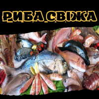 Риба свіжа