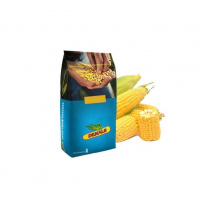 DKC 3511, ФАО 330, насіння кукурудзи ДКС Monsanto (Dekalb)