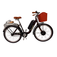 Електровелосипед Titan Neapol 26