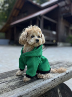 Худі для собак Green Digi Dog з кишенею, зелена кофта, стильний одяг для собак