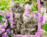 Картина за номерами «Кошенята у кошику» 40х50см