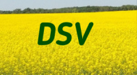 DSV