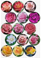 Картинки на пряники и капкейки; приглашения; визитки