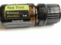 Чайное дерево - эфирное масло doTERRA США (Melaleuca alternifolia), 5 мл