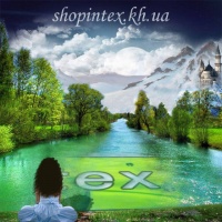 Shopintex