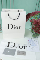 Пакет+пильник+документи маленький DIOR