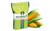 Семена кукурузы Евралис ( Euralis ) Перспектив
