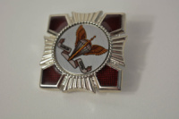 Нагрудний знак десантно-штурмові війська України