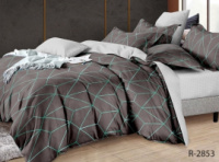 Комплект постільної білизни з компаньйоном R-2853