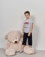 Комплект з капрі для хлопчика - Смужки Scooter