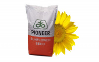 Семена подсолнечника Pioneer П64ГГ98 (P64HH98)