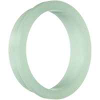 Ущільнююче кільце насоса Hayward Tristar (SPX3021R)