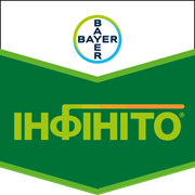 Інфініто
