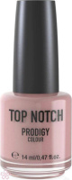 Лак Top Notch Top Notch Prodigy Nail Color 14 мл 245 MELANCHOLY