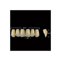 Акриловые зубы Tribos 501, фронт, верх - VO37 D4