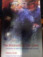 The Madness of Our Lives by Penny Gray