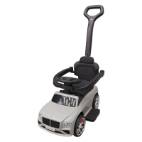 Детская Каталка-толокар 2 в 1 M 6252EL-11 до 20 кг