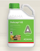 РЕЙСЕР