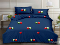 Комплект постільної білизни R847b