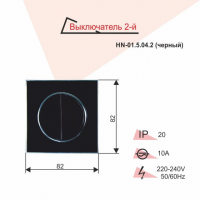 Выключатель RIGHT HAUSEN LAURA двух клавишный черный HN-015042