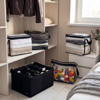 Набор прозрачных сумок для вещей и кофр для обуви до 44 размера ORGANIZE (черный)