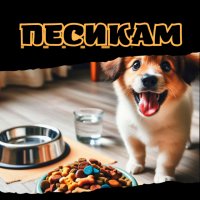 Песикам
