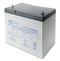 Акумуляторна батарея Gemix LP12-60