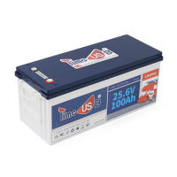 Аккумуляторная батарея LiFePO4 Timeusb 25.6V 100Ah, 2560Wh, BMS 100A, 532*207*216мм