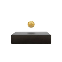 Левітуюча куля FLYTE Buda, чорна основа, золотиста куля