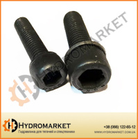 Шестигранний Болт на великий насос (12,9 щільність)