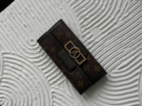 Великий гаманець-візитниця Louis Vuitton Micro коричневий