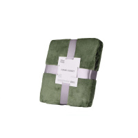 Плед Ardesto Flannel зеленый, 160х200 см (ART0209SB)
