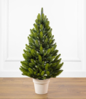 Лапландська весняна 90 см зелена з салатовими кінчиками маленька ялинка лита в горщику Сіга Груп