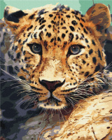 Картина за номерами «Портрет леопарду» 40х50см