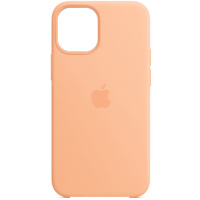 Чохол для iPhone 11 Pro Silicone Case (AA) (Помаранчевий / Cantaloupe) - купити в SmartEra.ua