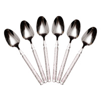 Набор столовых ложек 6 штук из нержавеющей стали 21 (см) Серебро HP-8-33