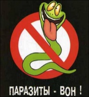 Антипаразитарные натуральные препараты