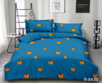 Комплект постільної білизни R843-B