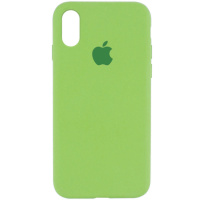 Чохол для Apple iPhone XR (6.1«) Silicone Case Full Protective (AA) (М'ятний / Mint) - купити в SmartEra.ua