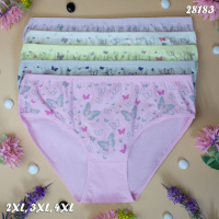 Труси сліпи жіночі Nicoletta Туреччина батал 2XL, 3XL 5 шт.