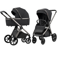 Коляска універсальна CARRELLO Omega CRL-6530 (2in1) Absolute Black /1/