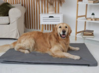 Лежанка для собаки Аляска цвет серый Лежак, лежанка для котов и собак спальное место