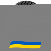 15/55 R17 Mitas IM-04 Сельхоз шина