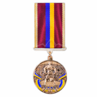 Медаль «За звитягу! Слава і честь»