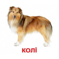 ПОРОДИ СОБАК. Карточки Домана. Ламіновані