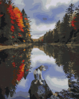 Картина за номерами «Собачка у озера» 40х50см